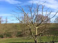 RBG Jardins Sàrl