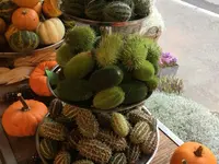 Blumen Müller