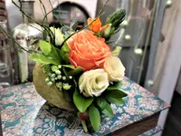 Blumen Habitus, Regula Elmer