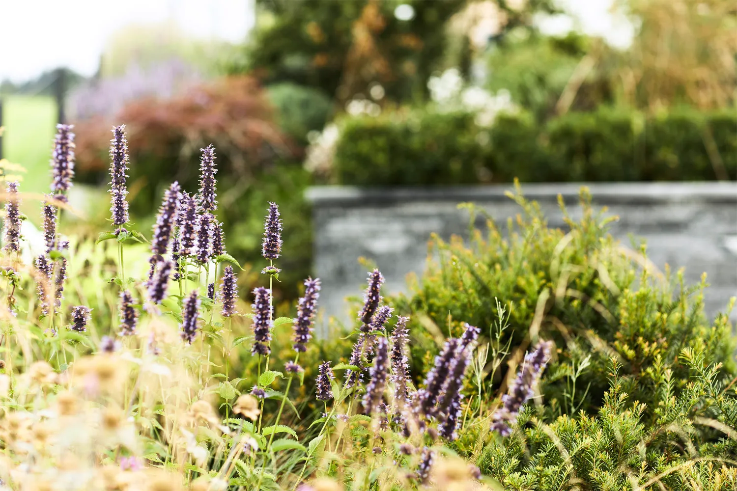 Garten und Bau Bernhardsgrütter AG