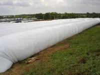 Interfol AG