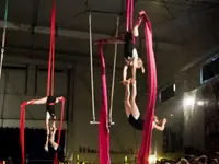 Ecole de Cirque Zôfy Sàrl