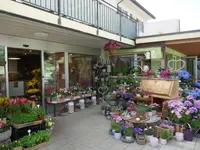 Blumen Eichenberger Oberrieden