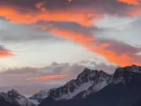 Tea-Room Scex-Riond Fonseca Silva