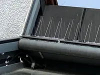 GROSS Pest Control GmbH