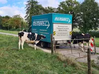 Membrez Déménagements Sàrl