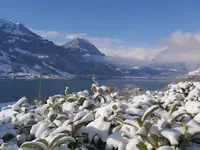 Seehotel Wilerbad - Klicken Sie, um das Bild 12 in einer Lightbox vergrössert darzustellen