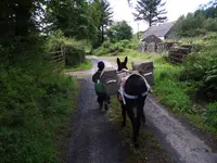 Le Goût du Voyage