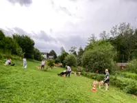 4happypets.ch, Inhaberin Schön