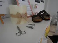 Pedisa