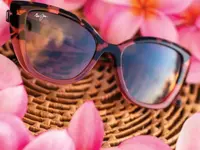 Ebneter Optik, Brillen & Kontaktlinsen