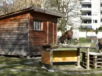 RIEDHOF Leben und Wohnen im Alter