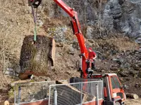 ONSFOREST Sagl - Klicken Sie, um das Bild 6 in einer Lightbox vergrössert darzustellen