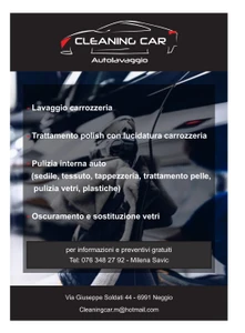 CLEANING CAR DI MILENA SAVIC