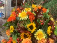 Les Fleuridées