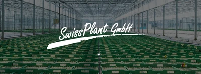 SwissPlant GmbH