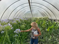PLANTiDEAL, sourcing de plantes & conseils jardin