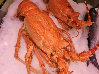 Sur les Quais Poissonnerie