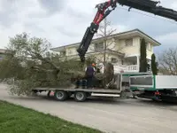 Bernet Gartenbau AG
