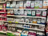 Qua la Zampa di Alessia Milani Termini