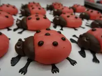 Zeller Chocolatier SA