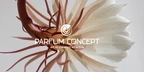Parfum Concept