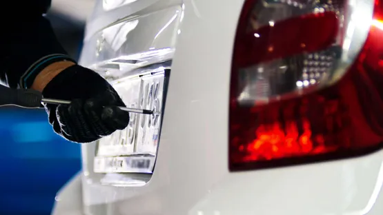 Kennzeichenaustausch in der Schweiz