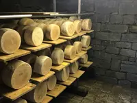 Caseificio Töira
