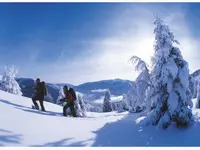 Pro Neige Sports