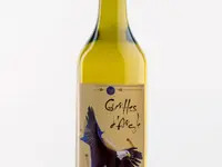Badan Vins