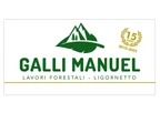 Galli Manuel