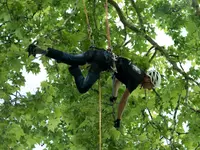 Les Artisans de L'Arbre Sarl