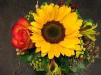 Blumen Rohner GmbH