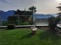 ARTE'S Impresa di pulizie