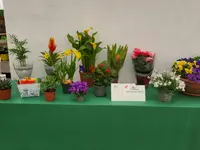 GIARDINI DOS SANTOS CANIÇO