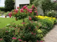 Fellmann Gartenbau AG