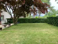 Blattert Garten- und Rasenpflege GmbH