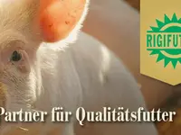 LGZ, Landwirtschaftliche Genossenschaft Zentralschweiz, RIGIFUTTER - Klicken Sie, um das Bild 3 in einer Lightbox vergrössert darzustellen