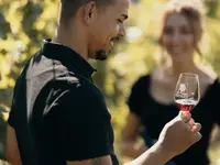 Baumgartner Weinbau AG
