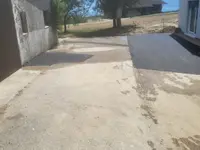 Vieira