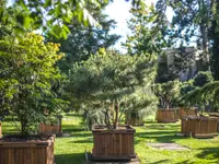 Daepp Gartenpflanzen - Klicken Sie, um das Bild 2 in einer Lightbox vergrössert darzustellen