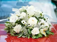 Blumen Pfister