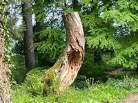 Praxis für Lymphtherapien