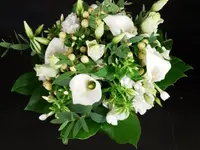 Oesch Fleurs & Jardins SA