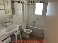 Eco-Clean Multiservice