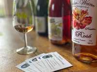 Weinbau Leuengrund - Schneider Weine