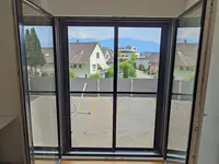 ISN NÜESCH -Insektenschutzgitter und Lichtschachtabdeckungen