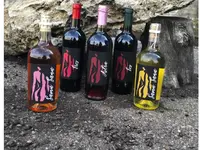 Chiera Azienda Agricola - produzione e vendita olio extra vergine di oliva
