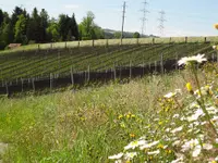 J&H Südhang GmbH