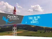 Gecko escalade Sàrl